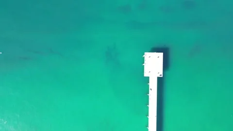 Hermosa Beach Pier Stock Footage 302852033