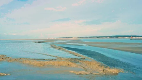 Heron at the beach - Baie de Canche (France) Stock Footage 101597821