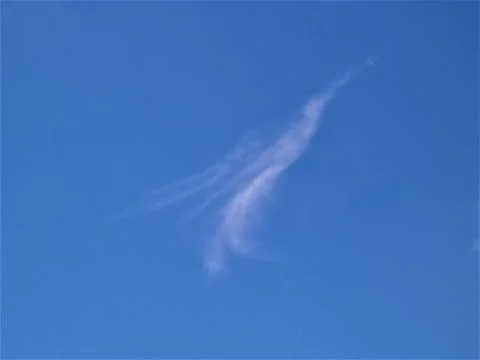 Heron bird cloud Stock Photos