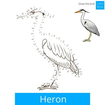 Heron bird learn to draw vector Illustrazione stock