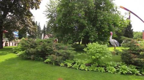 Heron in bushes Vídeos de archivo 37136398