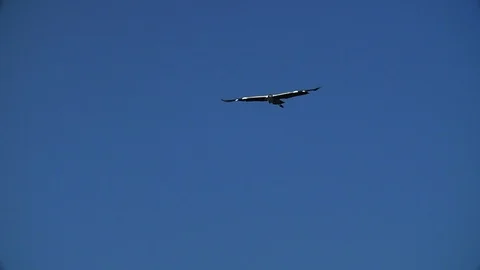 Heron in flight Vídeos de archivo 91964933