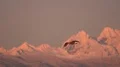Heron In Flight, Mt Baker BG Video HD