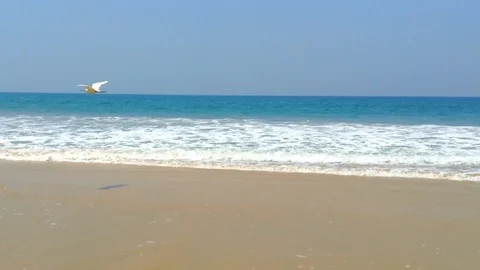 Heron flying on the empty beach Stock Footage 90381620