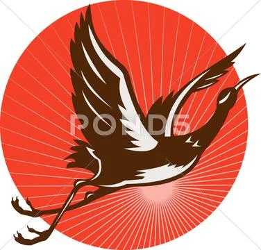 Heron flying up side view Stock Illustration