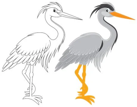 Heron Stock Illustration