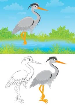 Heron Stock Illustration