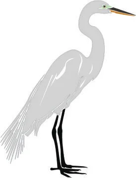 Heron Stock Illustration