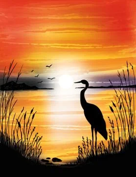The heron on the lake on sunset Stock Illustration