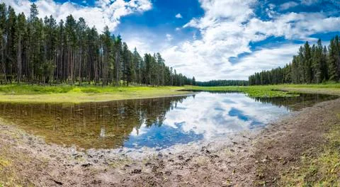 Heron Pond Stock Photos