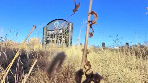 Heron pond sign Video stock 142531727