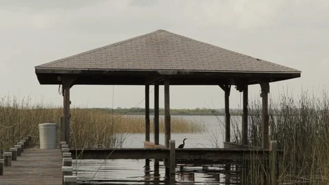 Heron sits on a covered dock Florida Stock Footage 90931716