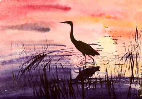 Heron in the water Stock Illustration