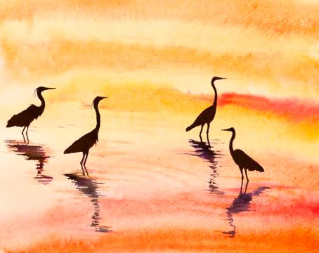 Heron in the water Illustrazione stock