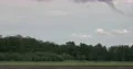 Herons flying over forest moor landscape in summer season nature reserve 4k or 4k+ Resolution