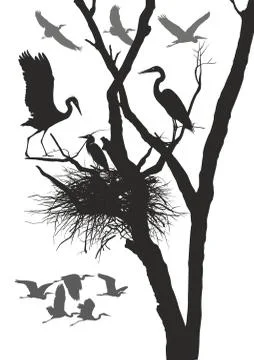 Herons nest Illustrazione stock