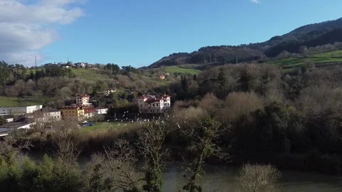 Herons in Oria river Stock Footage 170476100