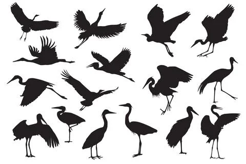 Herons silhouettes 스톡 일러스트