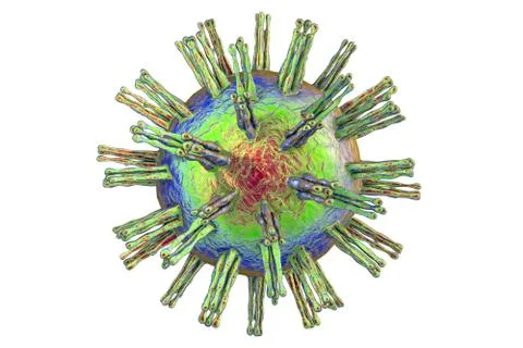 Herpes simplex virus Stock Illustration