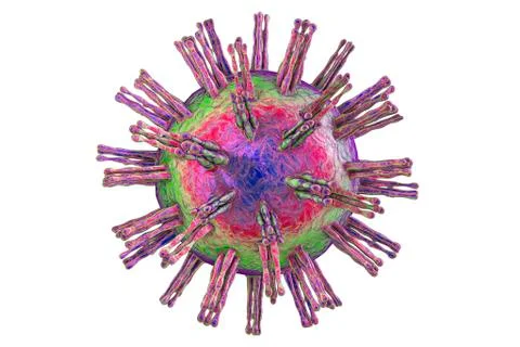 Herpes simplex virus, illustration Stock Illustration