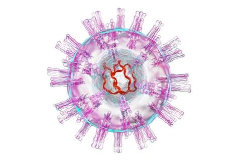 Herpes simplex virus structure Stock Illustration
