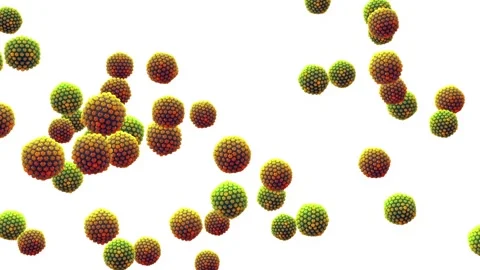 Herpes viruses Stock Footage 282170357