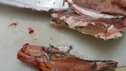Herring cleaned from the intestines on the table for further preparation of fish Video stock 121271223