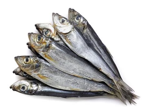 Herring fish close-up on a white background. Top view Stock Photos