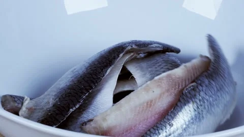 Herring fish fillets in bowl Stock Footage 233447255