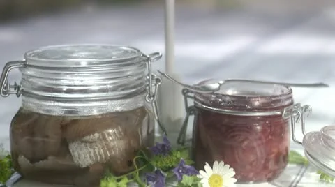 Herring Stock Footage 11287533