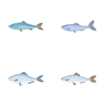 Herring icons set cartoon vector. Fresh raw edible cartoon fish Stock Illustration