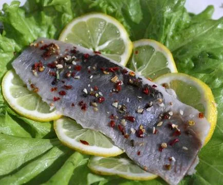 Herring Stock Photos