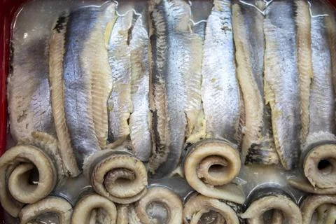 Herring Stock Photos