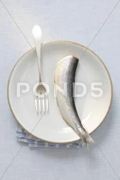 A herring on a plate Stock Photos