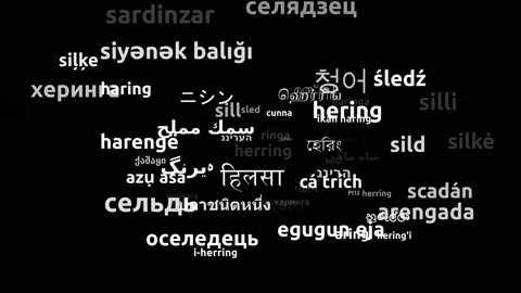 Herring Translated in 64 Worldwide Languages Endless Looping 3d Zooming Wordc Video stock 145195798