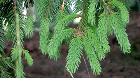 Herringbone the background motion Video stock 39307008