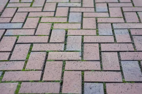 Herringbone pattern paving seamless texture. sidewalk tile texture ing Stock Photos