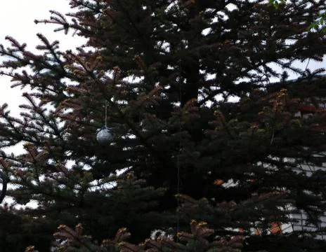 Herringbone in the summer Stock Photos