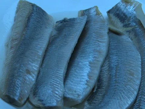 Herrings 動画素材 80415677