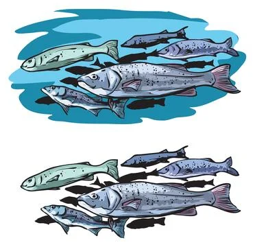 Herrings Stock Illustration