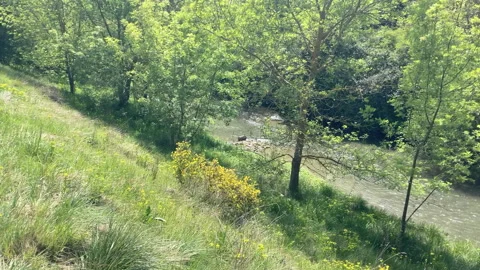 Hers river in Balma Video stock 152529772