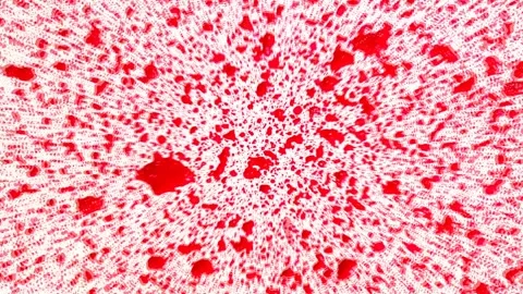Herz-Spritzer D Stock-Footage 340452053