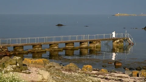 Hesitant bather Stock Footage 90841228