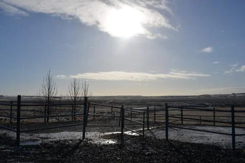 Hestheimar Ranch 写真素材