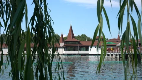 Heviz Lake through the willow branches Stock Footage 109130832