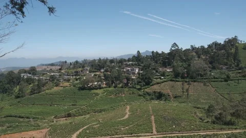 Hewaheta Town with tea estates Stock Footage 236108806