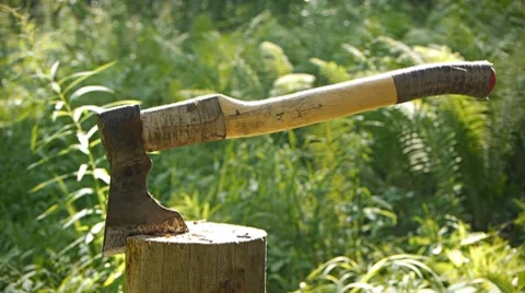 Hewing the firewood in forest Stock Footage 7758976