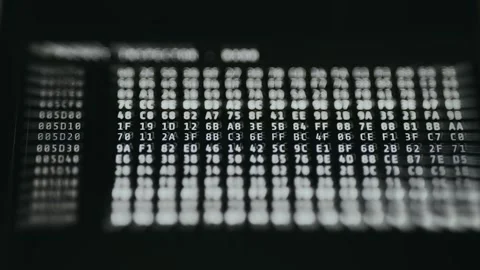 Hex dump, representation of computer file data in hexadecimal format Vidéo 335879594