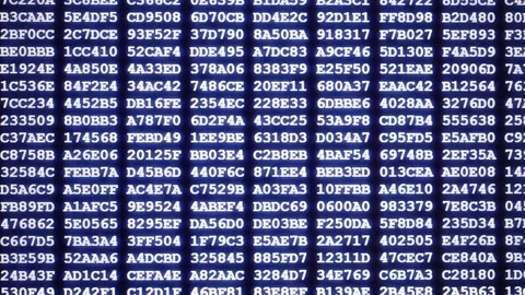 Hexadecimal code of computer program on display, programming, hacking, develo Stock Footage 151726372