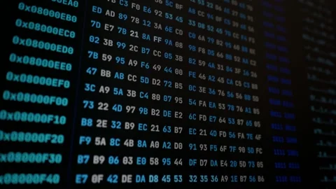 Hexadecimal Code Displaying Memory Addresses During System Debugging Stock Footage 347518951